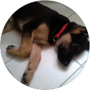 Marion Bizouni profile picture